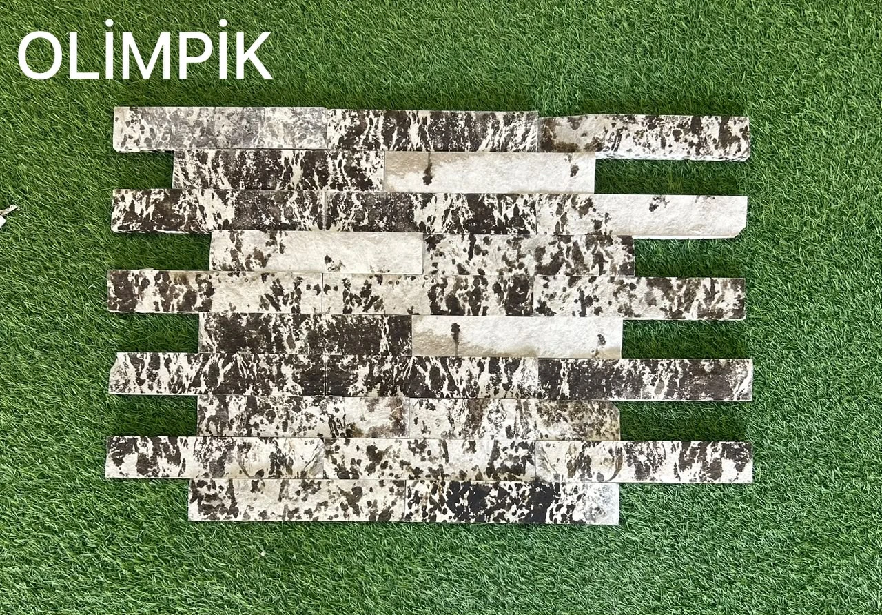 OLIMPIK - Görünüş 1